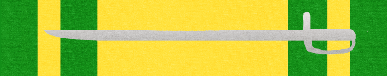 Medal For Respect 2nd Class Sa (1372x345), Png Download