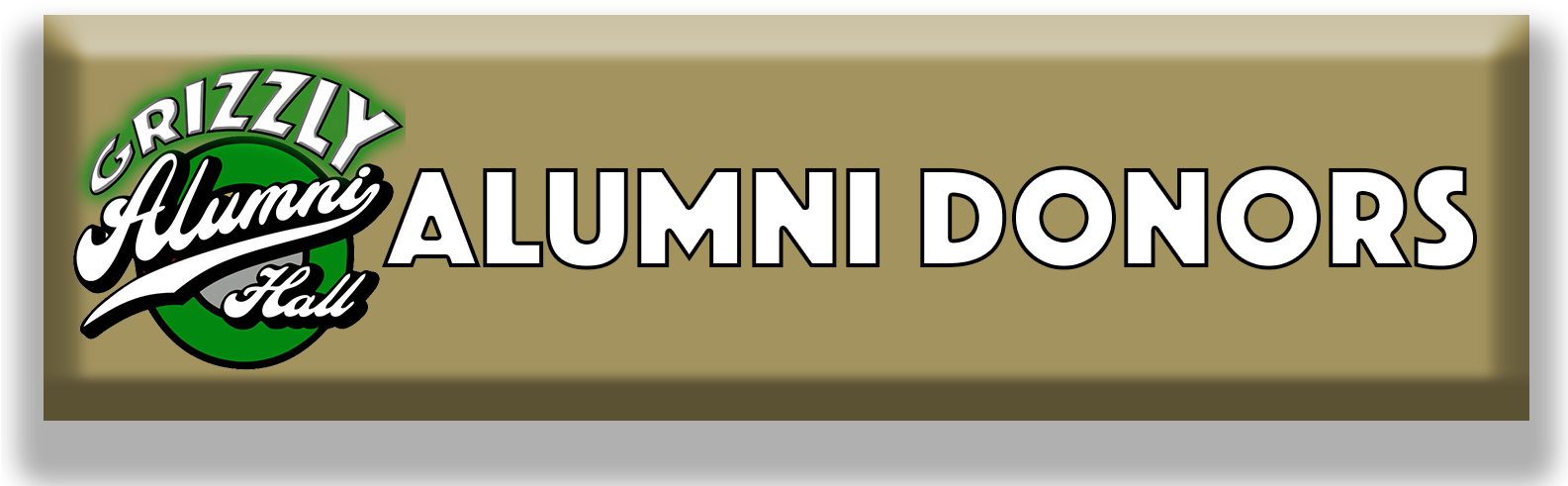 Gold Alumni Donors (1584x508), Png Download