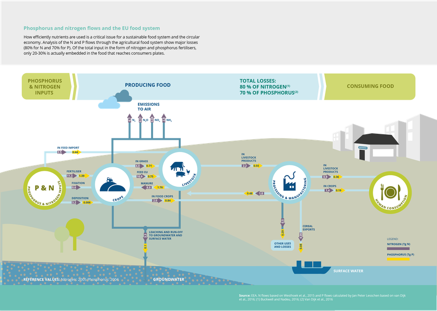 Phosphorus And Nitrogen Flows And The Eu Food System (885x630), Png Download