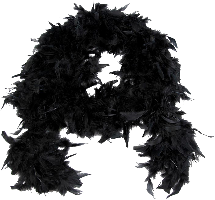 Download Feather Boa Png Image Background Full Size PNG Image PNGkit