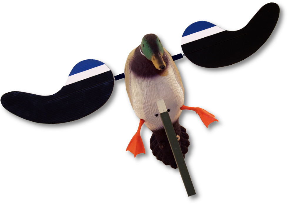 Image Of The Mojo Baby Mallard (1000x1000), Png Download