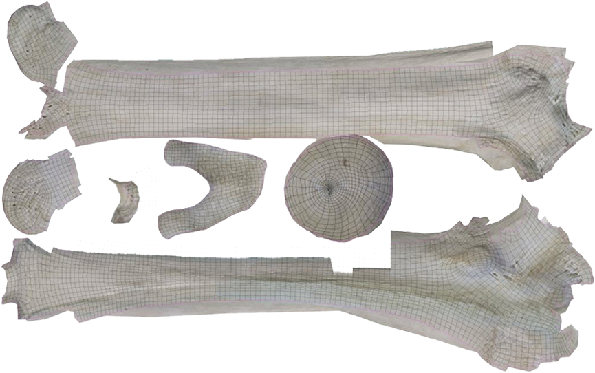 From This Point, A Texture Artist Works With The New (1024x541), Png Download