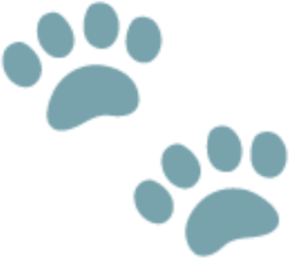 Dog Emoji Png (983x877), Png Download