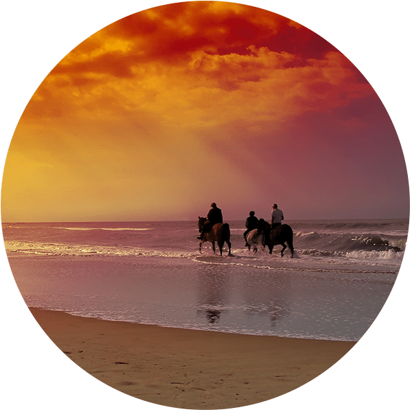 Beaches & Bikes (600x600), Png Download