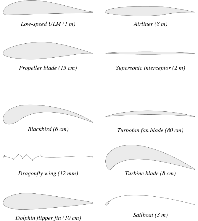 Examples Of Airfoils In Nature And Within Various Vehicles (700x793), Png Download