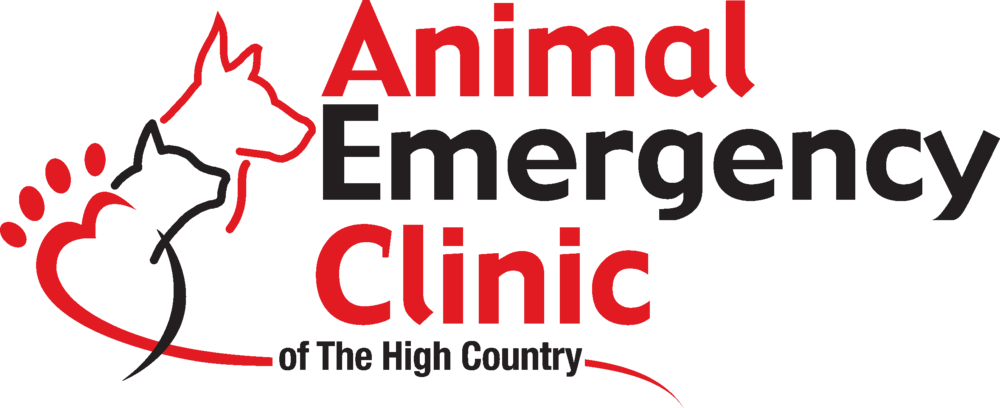 We Offer 24 Hours Emergency Veterinary Services (1000x408), Png Download