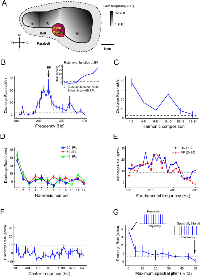 Criteria For Pitch Selective Neurons (654x897), Png Download