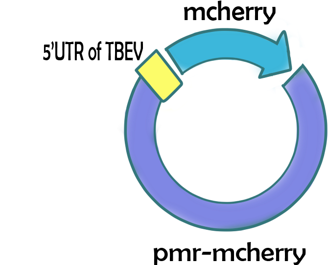 Packages Targeting Neuron (1000x1000), Png Download