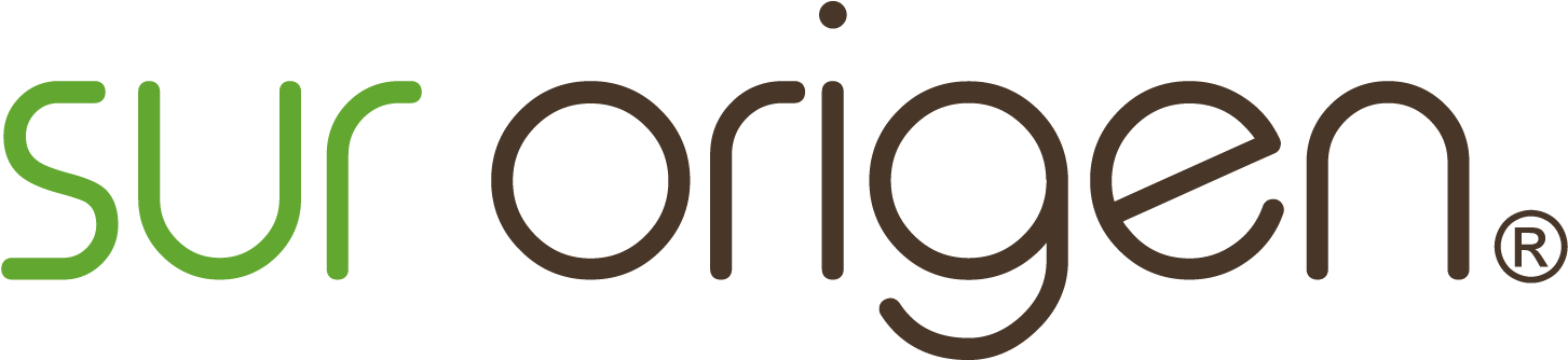 Sur Origen (1535x400), Png Download