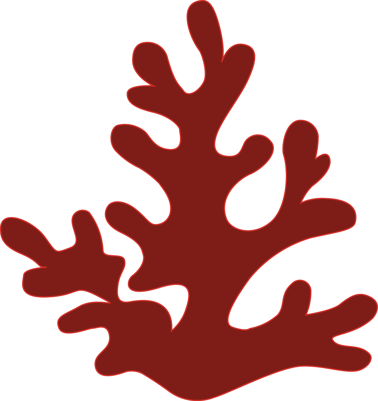 The Structure Of The Reefs Comes From Coral Species (1304x1382), Png Download