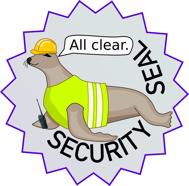 A Seal Wearing A Hard Safety Helmet And A High Visibility (800x790), Png Download