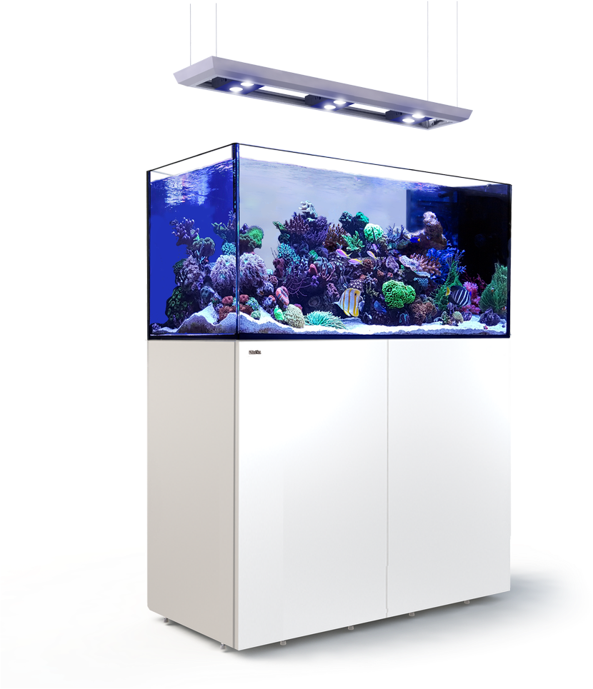Picture Of Red Sea Reefer Peninsula P500 Deluxe White (960x1017), Png Download