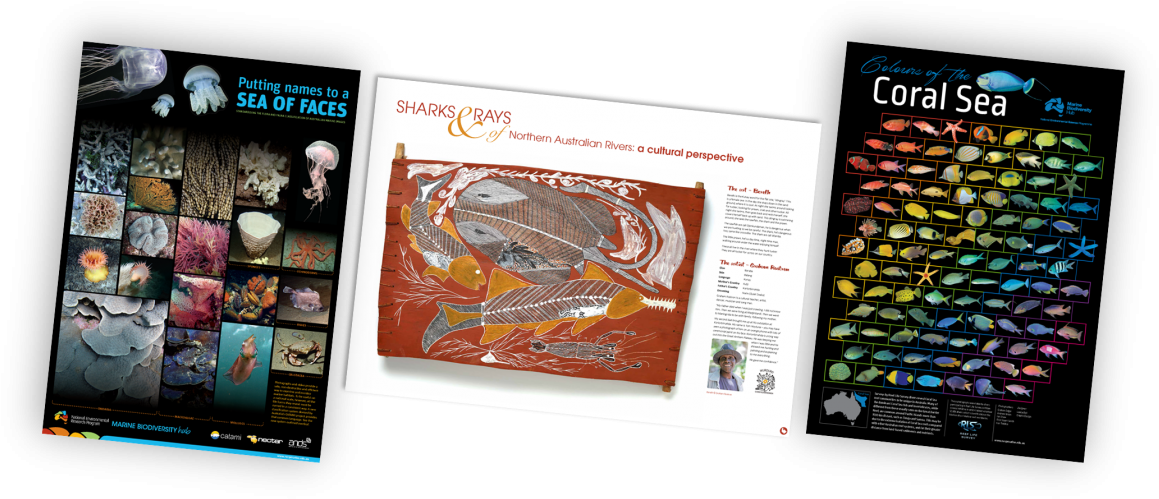 Posters Of The Nesp Marine Biodiversity Hub (1200x539), Png Download