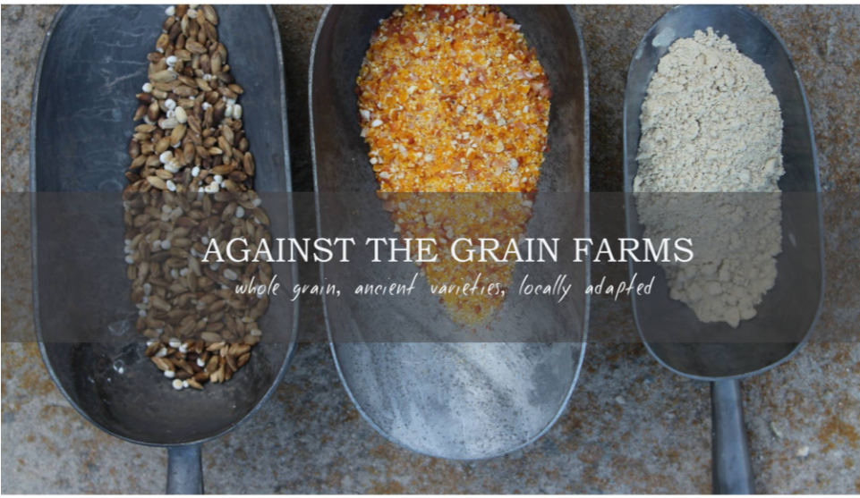 Against The Grain A (960x720), Png Download