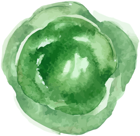 Brunswick Cabbage - Save Room For Pie By Roy Blount (600x600), Png Download