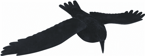 Jack Pyke Of England Flying Crow Decoy Flocked Full - England (500x600), Png Download