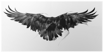 Drawn Flying Crow On White Background Front Poster - Vrána Kresba (400x400), Png Download