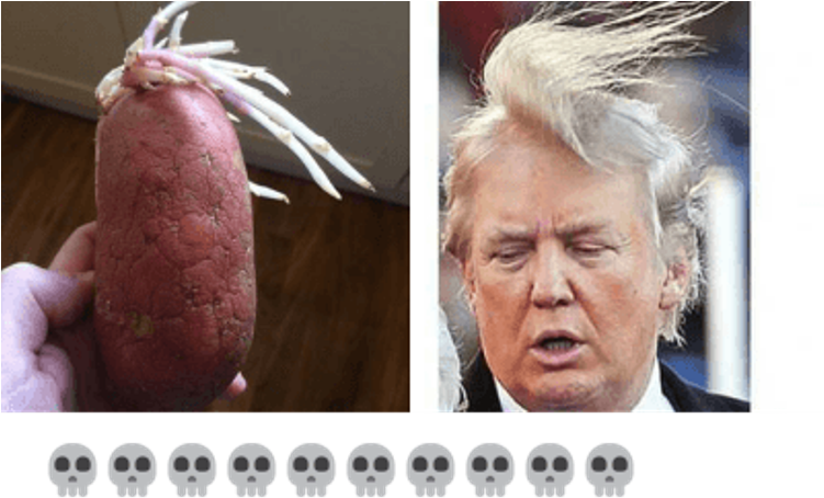 Funny Donald Trump Memes - Donald Trump Old Hair (750x563), Png Download