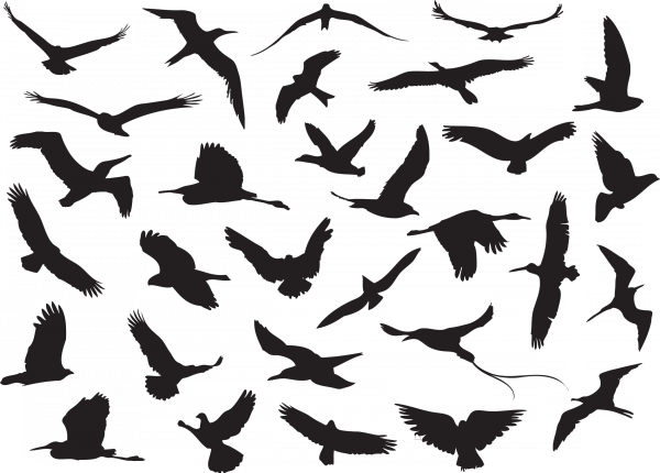 Pin By Alexey Kiselev On Pinterest Patterns - Myonline Shop Jr - 13 Stamping Plate (600x430), Png Download