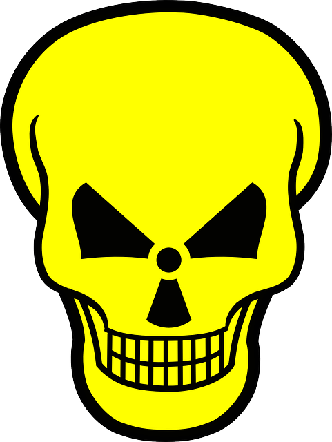 Is Radioactive Food From Fukushima Being Sent To Your - Skull And Crossbones Throw Blanket (481x640), Png Download