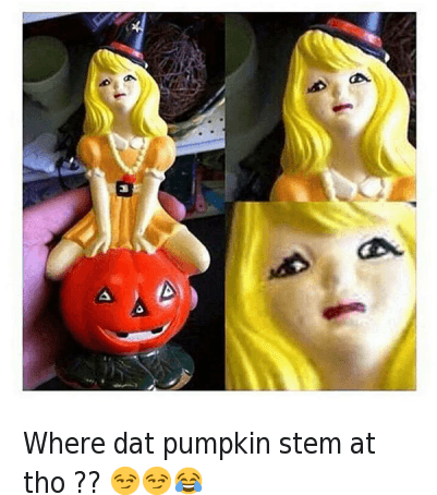 Funny, Lmao, And Well Timed - Pumpkin Stem Meme (400x471), Png Download