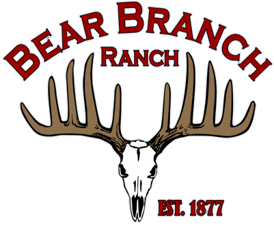 Bear Branch Logo White Outline - Bear Branch Ranch (401x330), Png Download