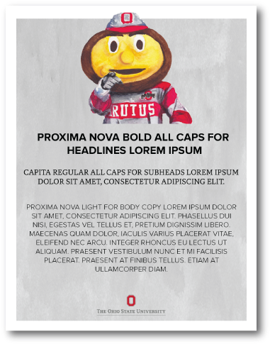 Flier Template - Rubber Ducky (878x500), Png Download