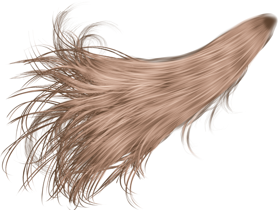 1ivemzo - White Hair Png (1024x725), Png Download