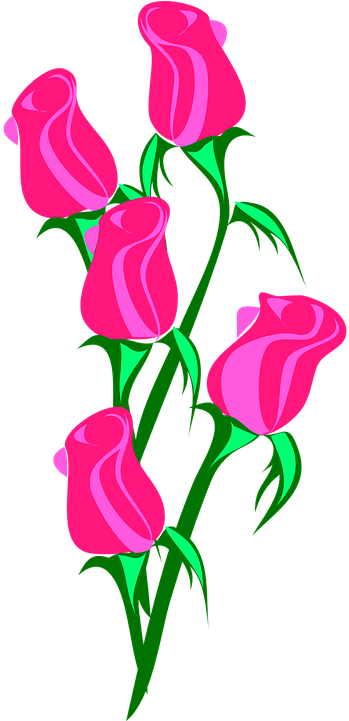 Rose-307040 960 - Roses Clip Art (360x720), Png Download