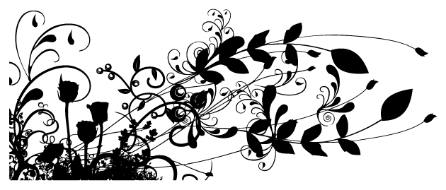 Black Rose (630x269), Png Download