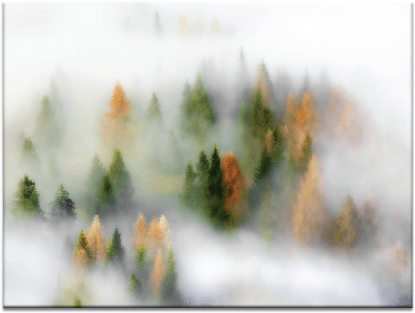 Autumn Cloud - My Art Outlet 'autumn Dream' Graphic Art Print On Wrapped (900x900), Png Download