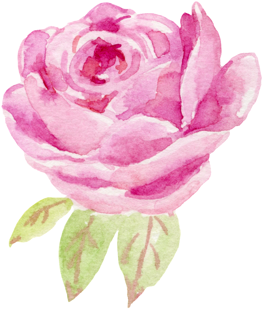 Water Color Flower Rose (1024x1110), Png Download