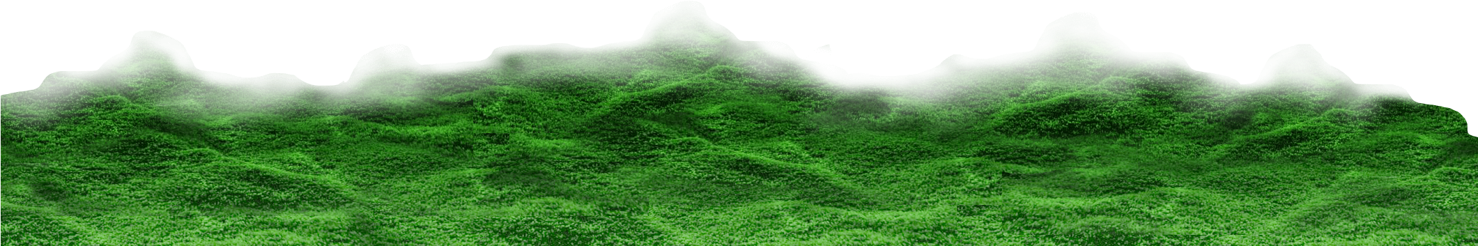 Parallax Green Back - Aquarium (2120x1280), Png Download