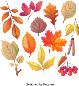 Cartoon Simple Hand-painted Autumn Leaf Design, Cartoon, - Folhas Secas Desenho Png (360x360), Png Download
