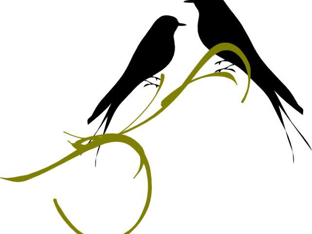 Symbol Of Love Bird (640x480), Png Download