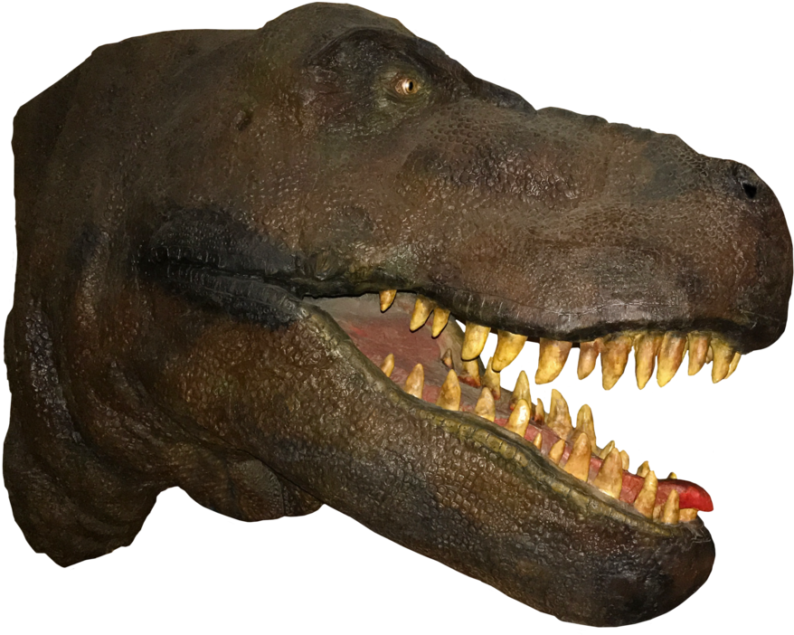 T Rex Head Png (900x725), Png Download