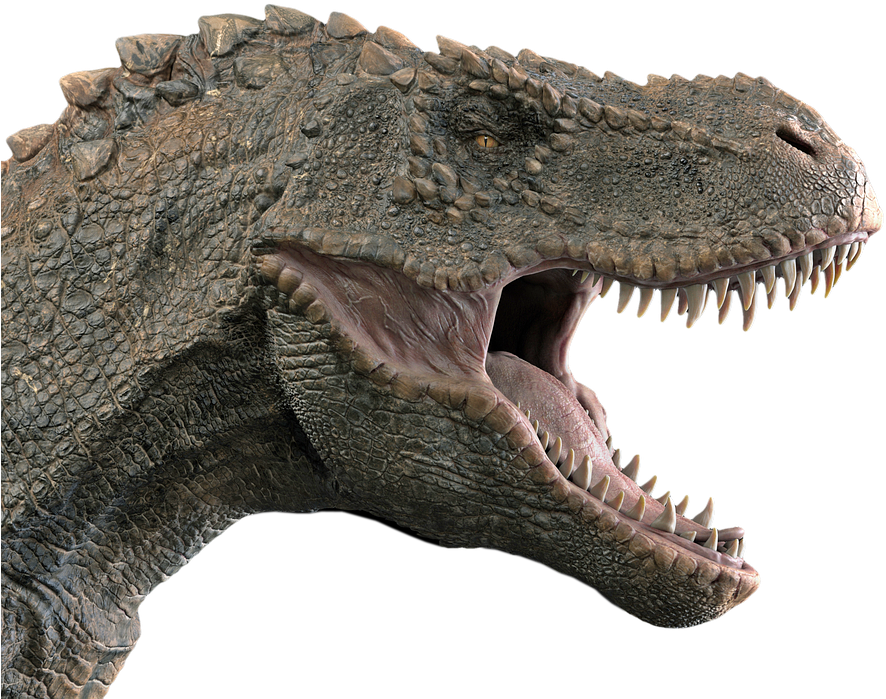 Dinosaur, Tyrannosaurus, Tyrannosaur - T Rex Head Side (429x340), Png Download