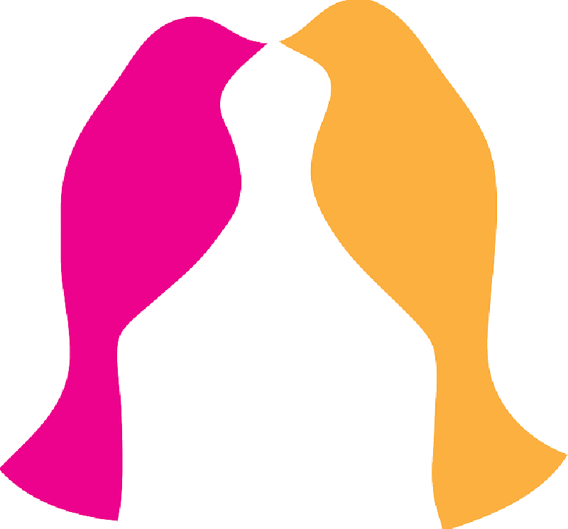 Mb Image/png - Love Bird Outline (800x746), Png Download