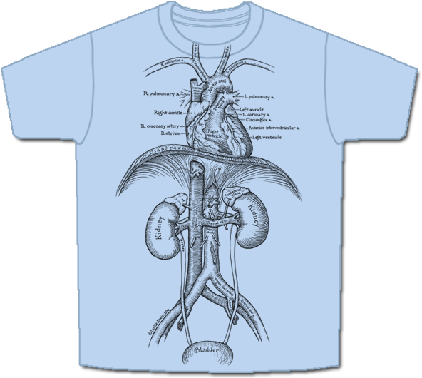 Cardio-short (600x540), Png Download