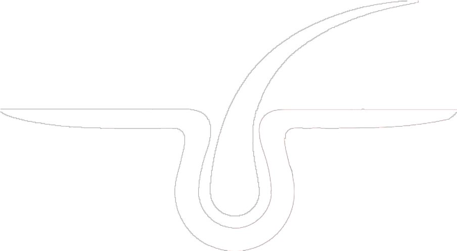 Calligraphy (1158x846), Png Download