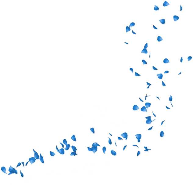 Flower Petals Png Download - Blue Petals Png (650x630), Png Download