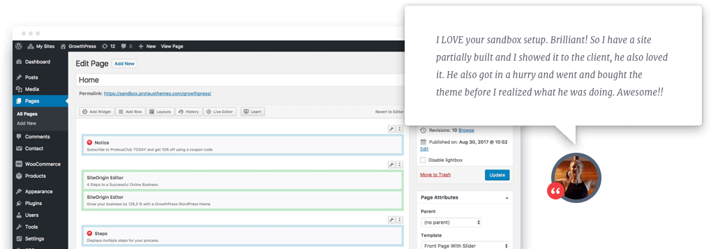 Test Any Wordpress Theme Testimoanial Wp Admin (1027x358), Png Download