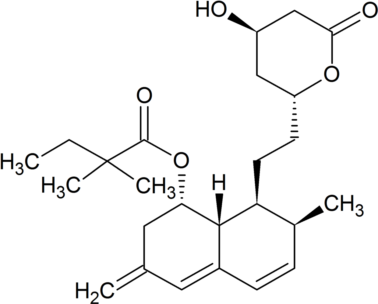 295 X 240 Pikseli (1257x1024), Png Download
