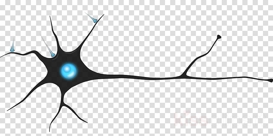 Strip Png (900x450), Png Download