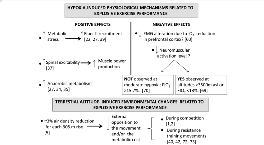 Hypoxia Ascent And/or Exposition-induced Physiological (850x469), Png Download