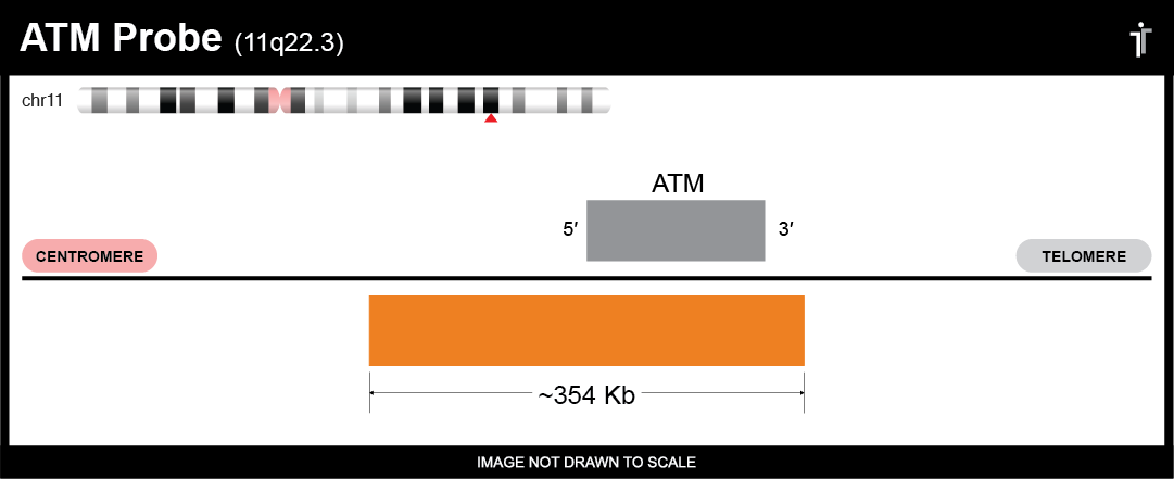 Available As Ce Marked Product In Orange (1081x441), Png Download