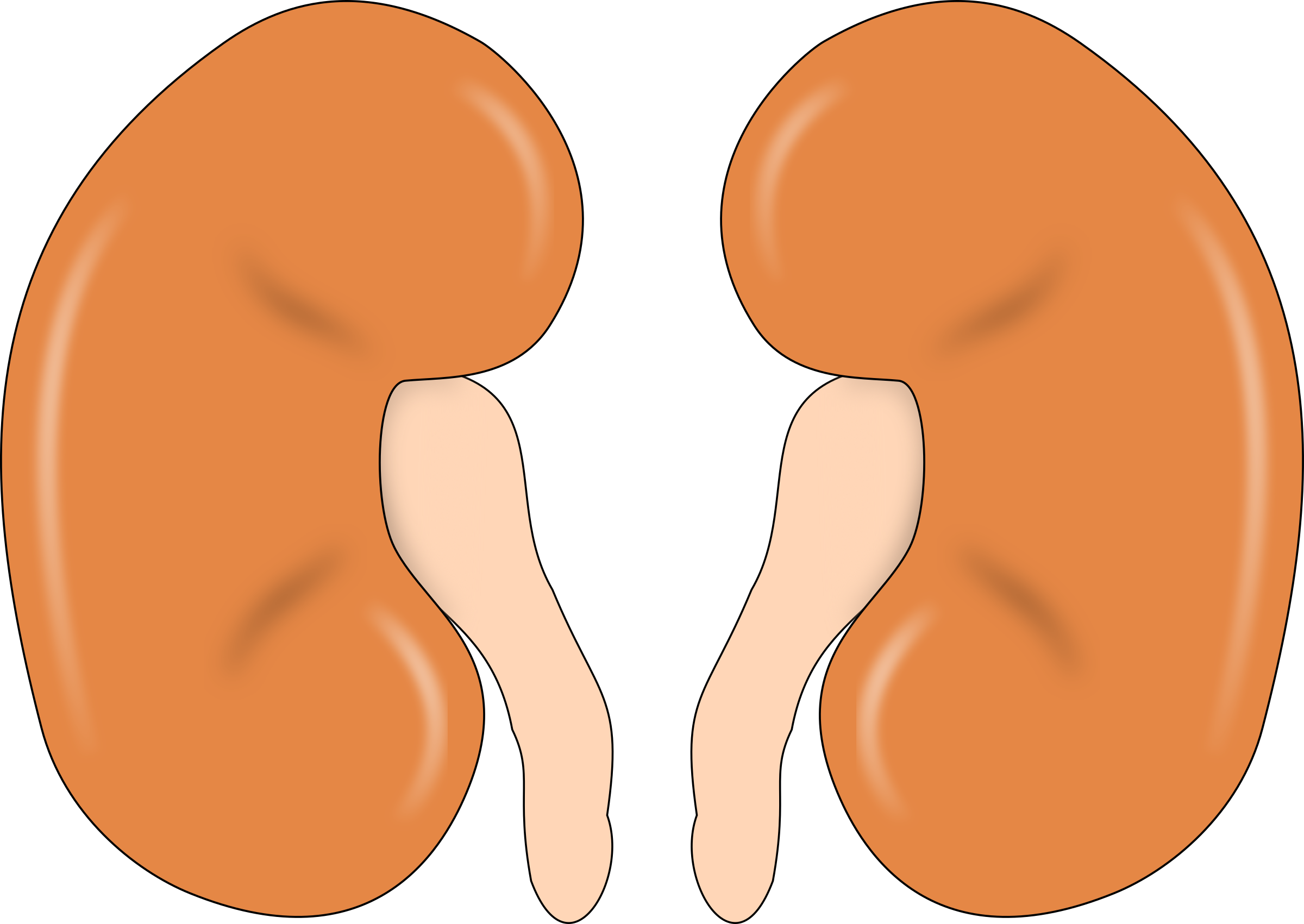 This Free Icons Png Design Of Kidney-reins (2400x1701), Png Download