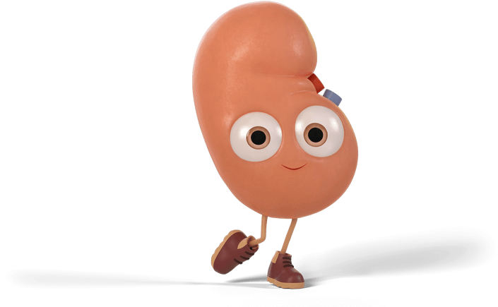 Become A Donor Today (800x434), Png Download