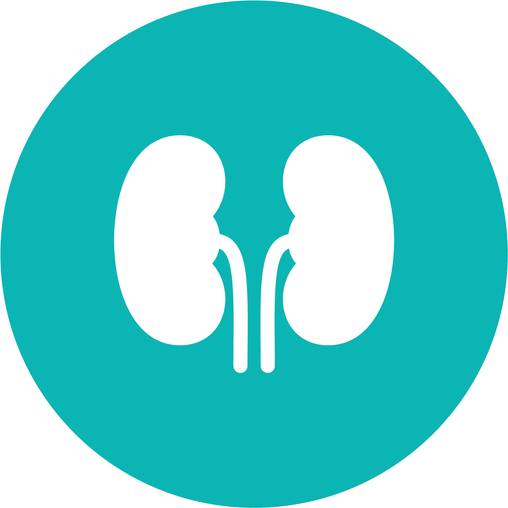 Kidney Disease (1772x1772), Png Download