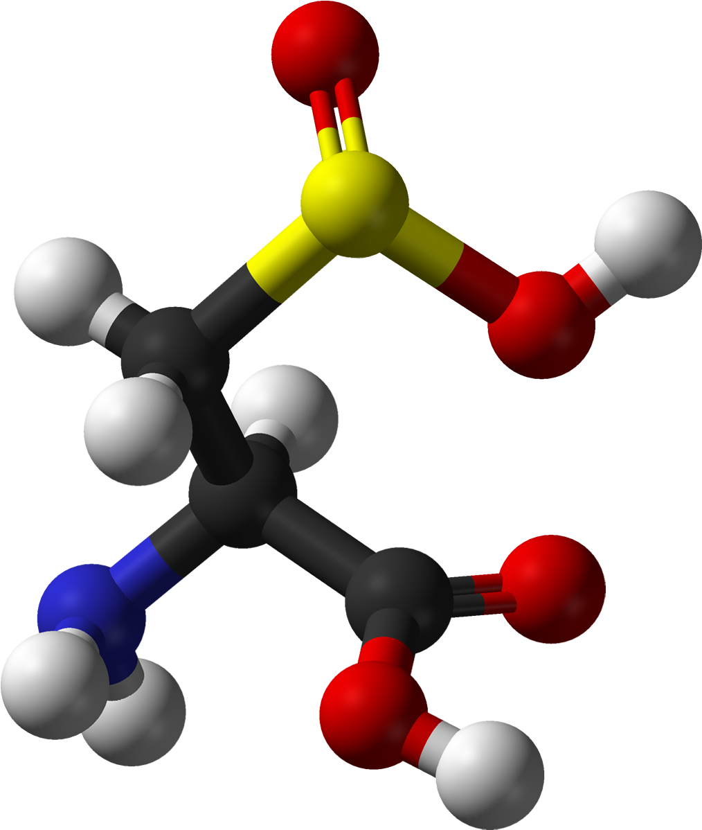 L Cysteine Sulfinic Ac (1140x1326), Png Download